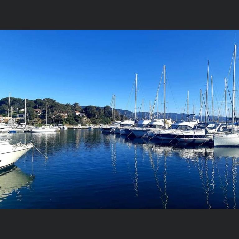 Appartement climatisé Bord de Mer La Faviere - Apartamento con terraza - 15