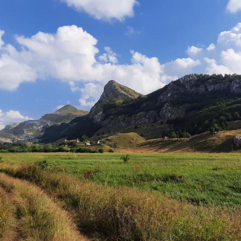 Katun Mokra accommodation & horseback riding - Two-Bedroom Chalet - 58