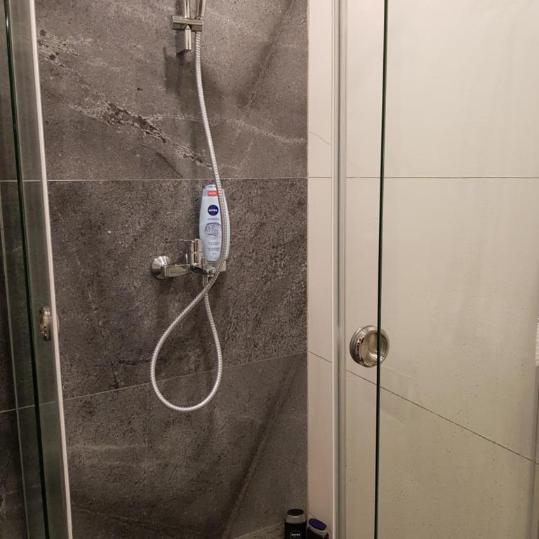 Zlatibor centar Stefi - Apartman sa 1 Spavaćom Sobom - 6