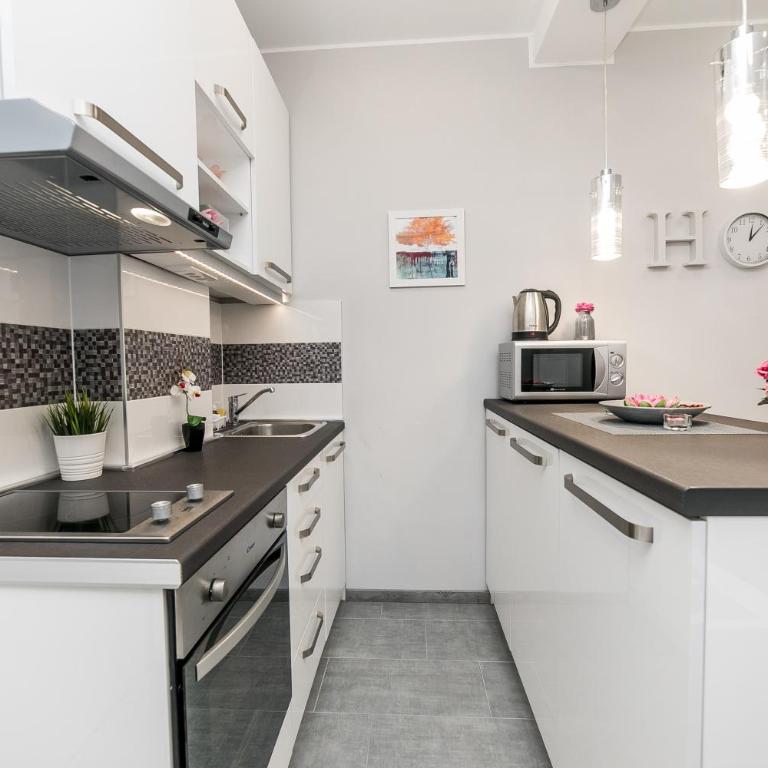 Gray Luxe - Apartman sa 1 Spavaćom Sobom - 2