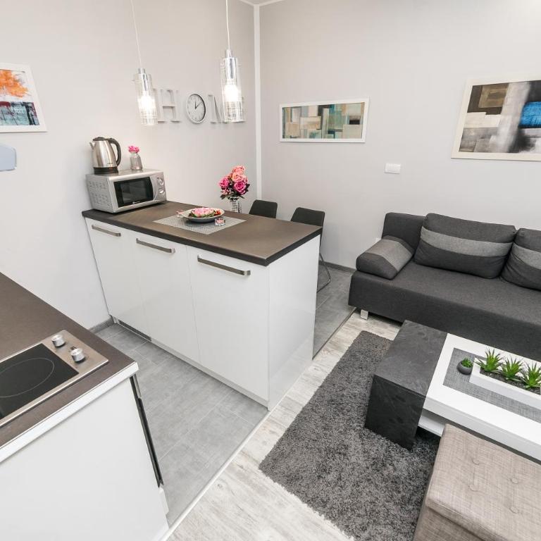 Gray Luxe - Apartman sa 1 Spavaćom Sobom - 3