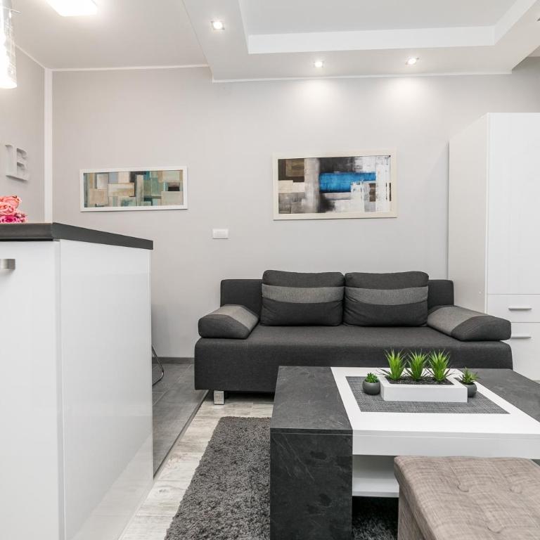 Gray Luxe - Apartman sa 1 Spavaćom Sobom - 4