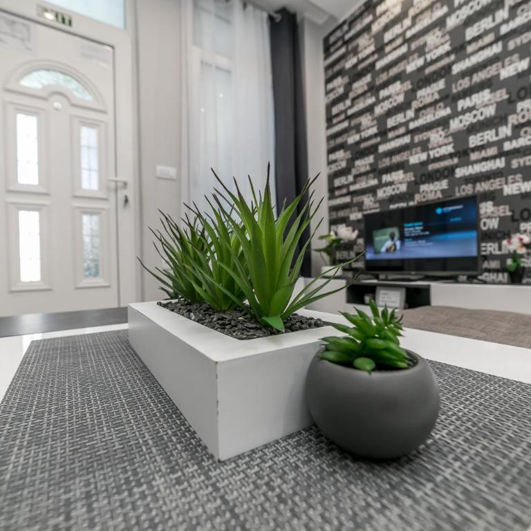 Gray Luxe - Apartman sa 1 Spavaćom Sobom - 14