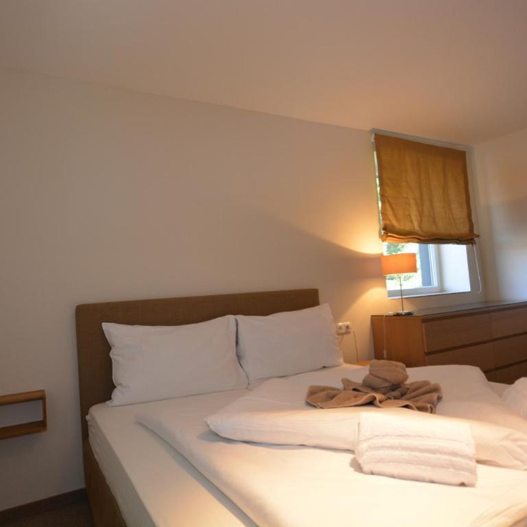 Apartmenthouse 5 Seasons - incl SUMMER CARD by All in One Apartments - Top 3 - Großes Apartment mit 1 Schlafzimmer, Balkon und Bergblick - 4