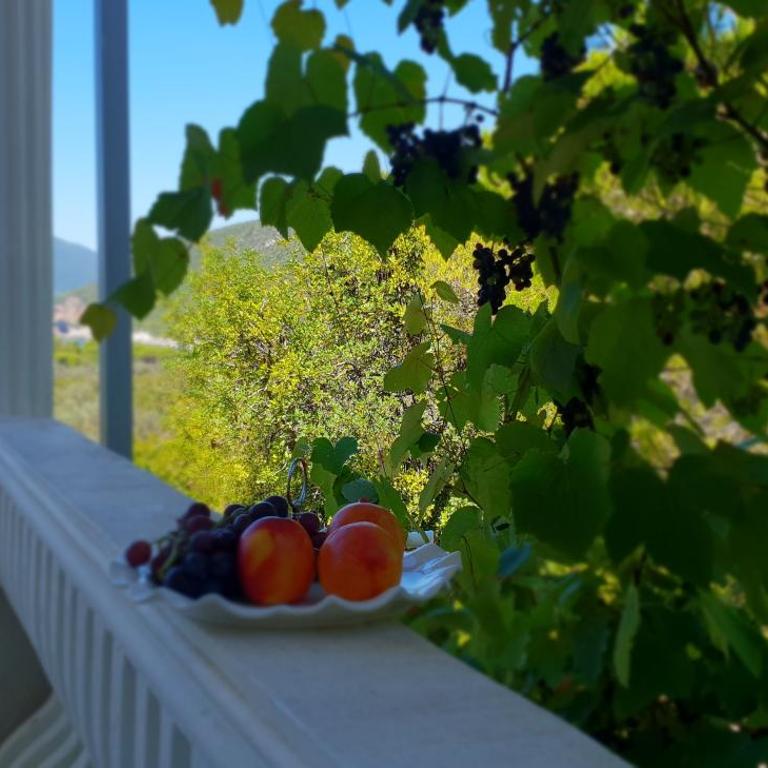 Mirišta - Spacious apartment in lush nature sea & forest - Two-Bedroom Apartment - 27