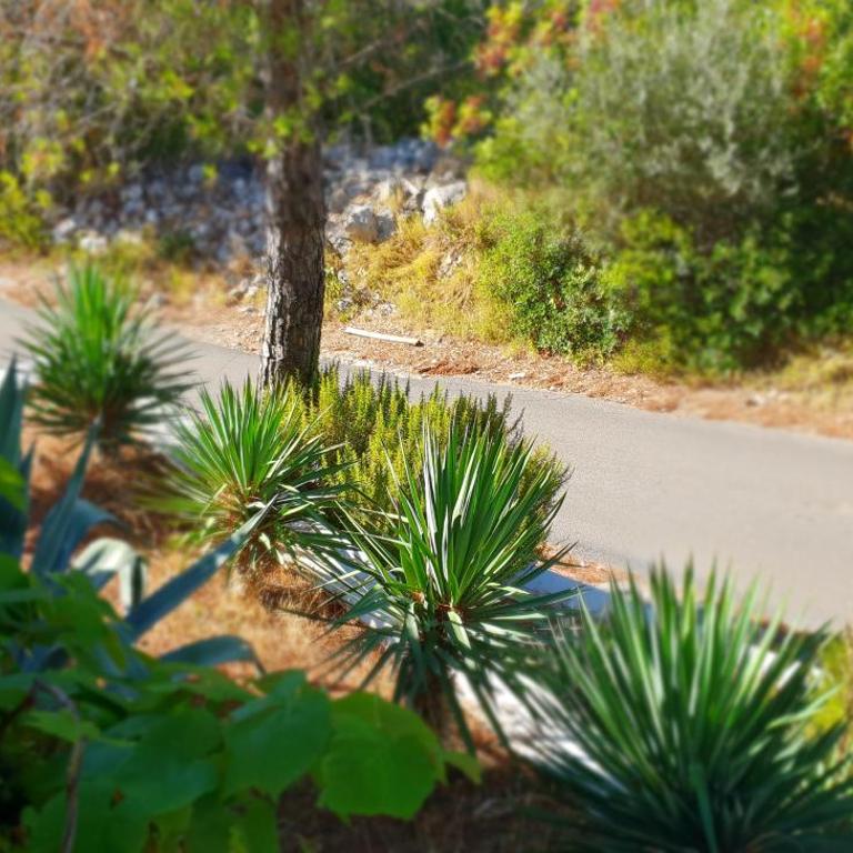 Mirišta - Spacious apartment in lush nature sea & forest - Two-Bedroom Apartment - 31