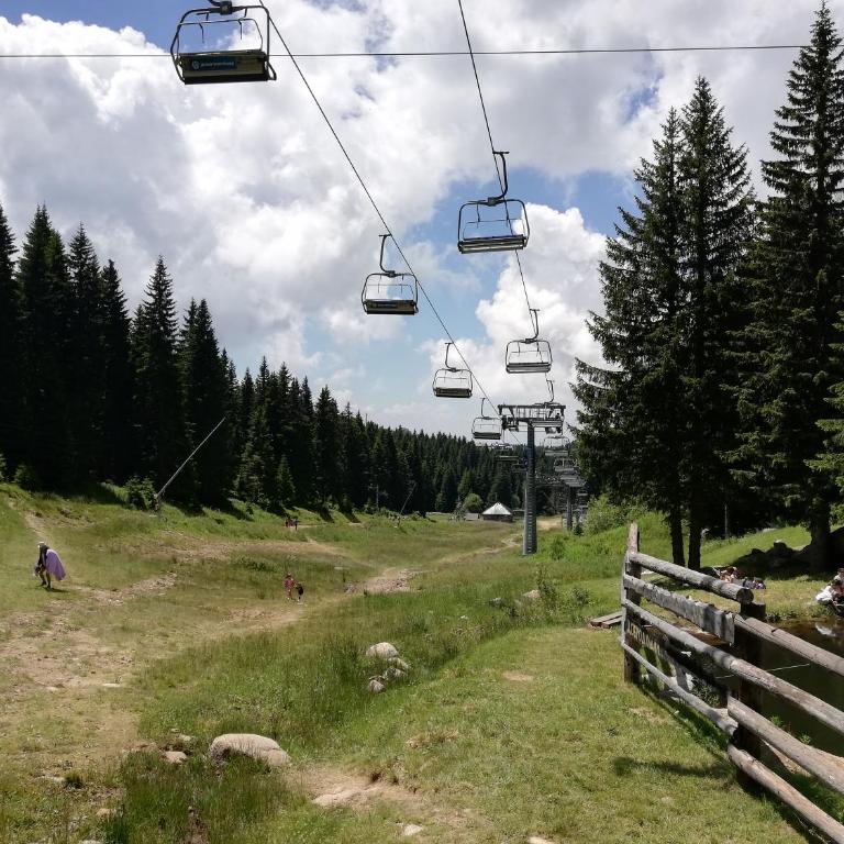 Lux Suite S5 Milmari Resort - Studio with Mountain View - 85