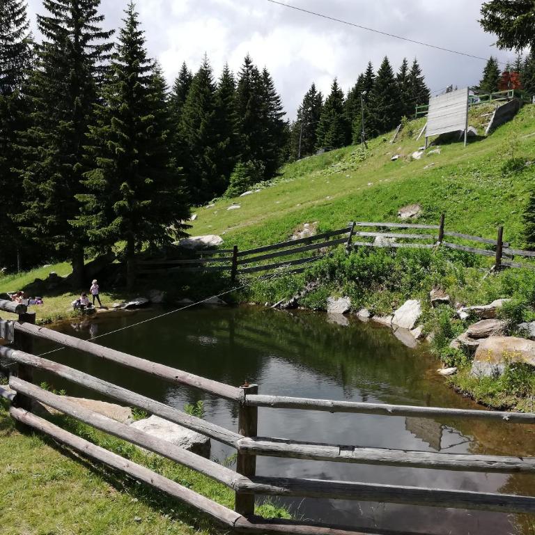 Lux Suite S5 Milmari Resort - Studio with Mountain View - 84