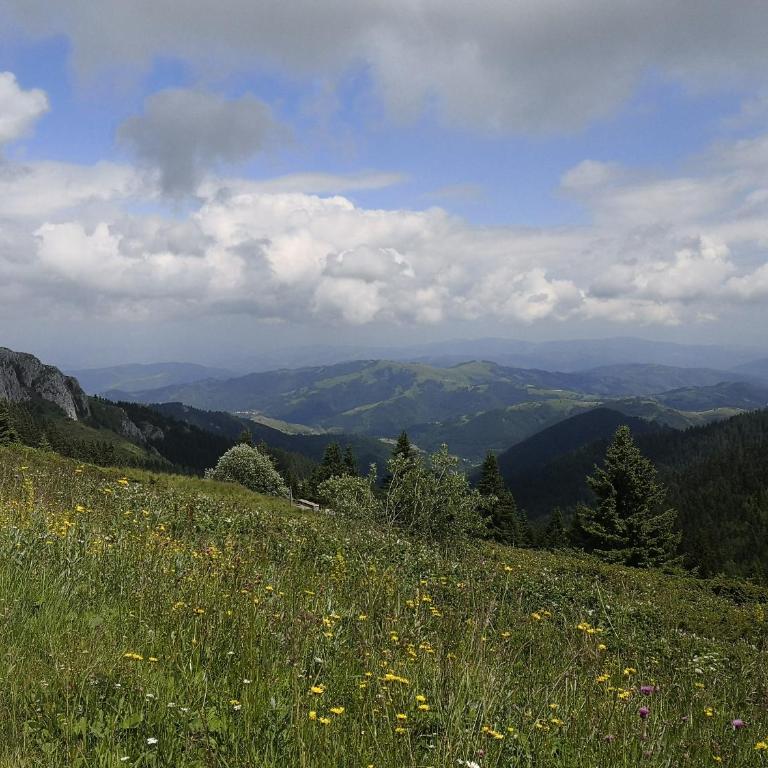 Lux Suite S5 Milmari Resort - Studio with Mountain View - 83
