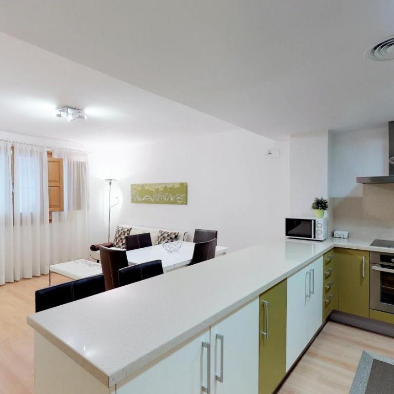Edificio Palomar - PalomarGroup - Two-Bedroom Apartment with Terrace - 6