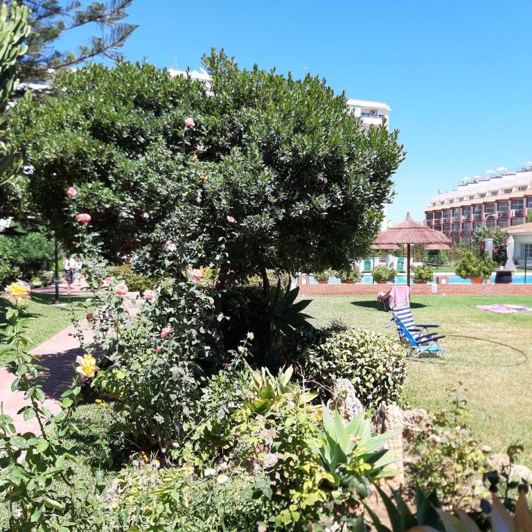 Carihuela Palace - Apartamento de 1 dormitorio - 5