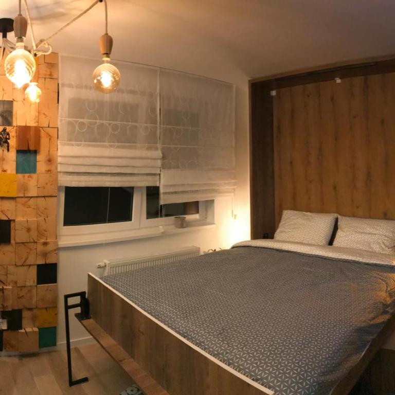 Olimpijska kuca Jahorina - Apartman A708 - One-Bedroom Apartment - 44