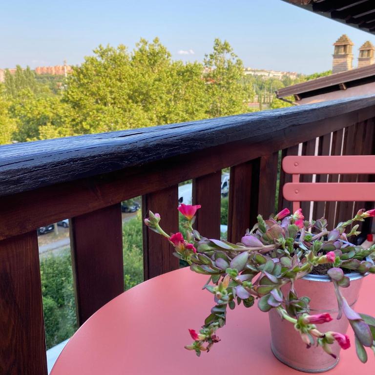 Delizioso appartamento sul verde con 3 camere da letto - Three-Bedroom Apartment - 17