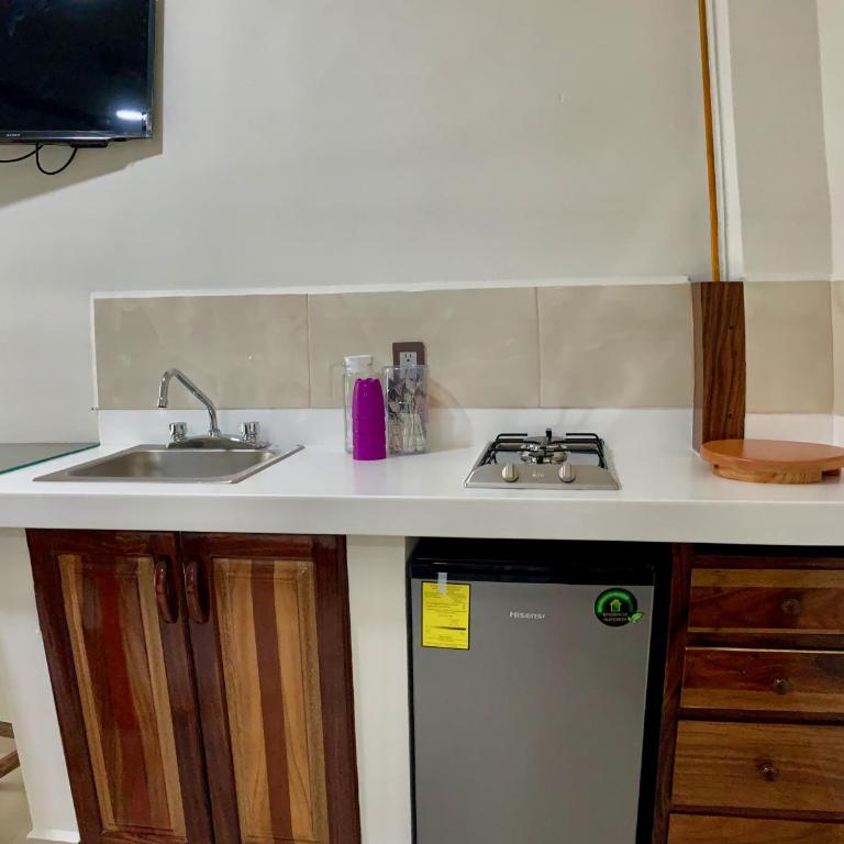 Lidxi Rosae - Apartamento - 1