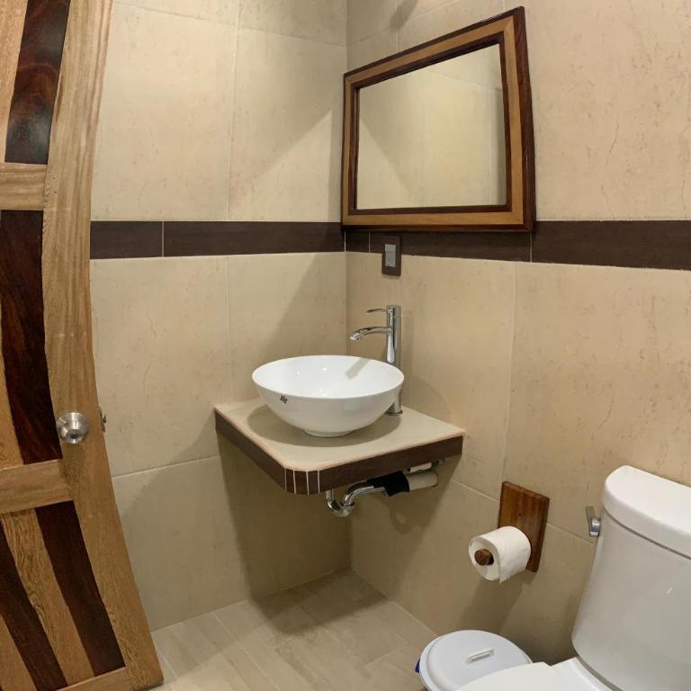 Lidxi Rosae - Apartamento - 6