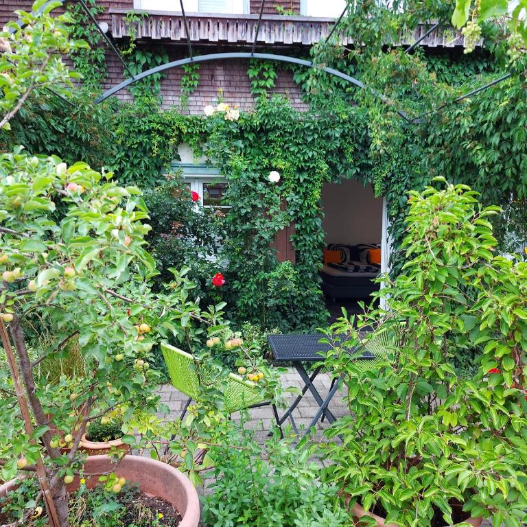 Landhaus Goldenes Kreuz - Apartment mit Terrasse - 6