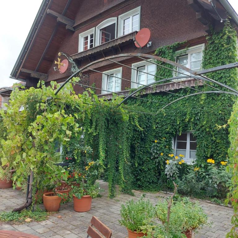 Landhaus Goldenes Kreuz - Apartment mit Terrasse - 5