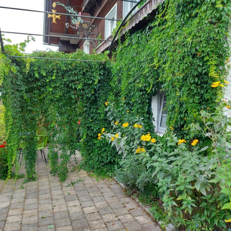 Landhaus Goldenes Kreuz - Apartment mit Terrasse - 4