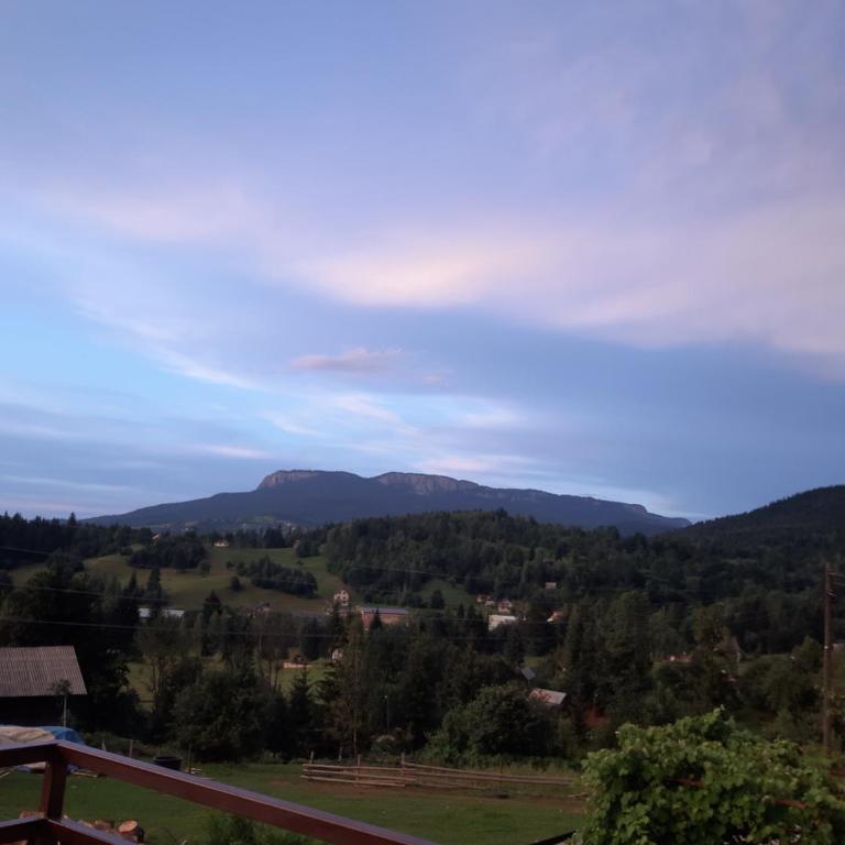 Apartman Sara Pale - Ski centar Ravna planina - mir, tišina, blizina Sarajeva - One-Bedroom Apartment - 23