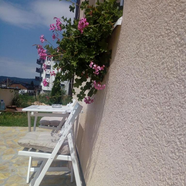 Apartments Villa Stars - Apartment - Ground Floor - 11