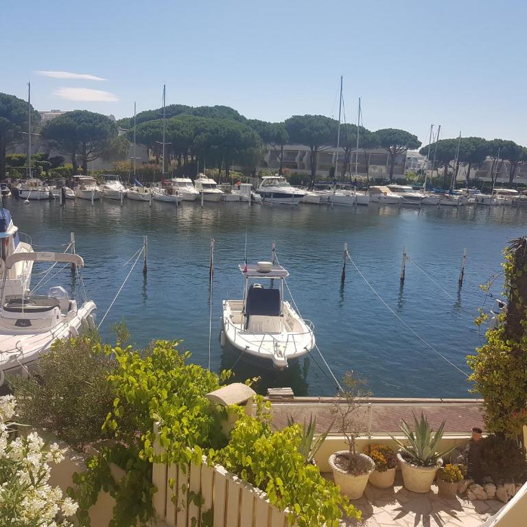 Marina Port Camargue - Appartement - 2