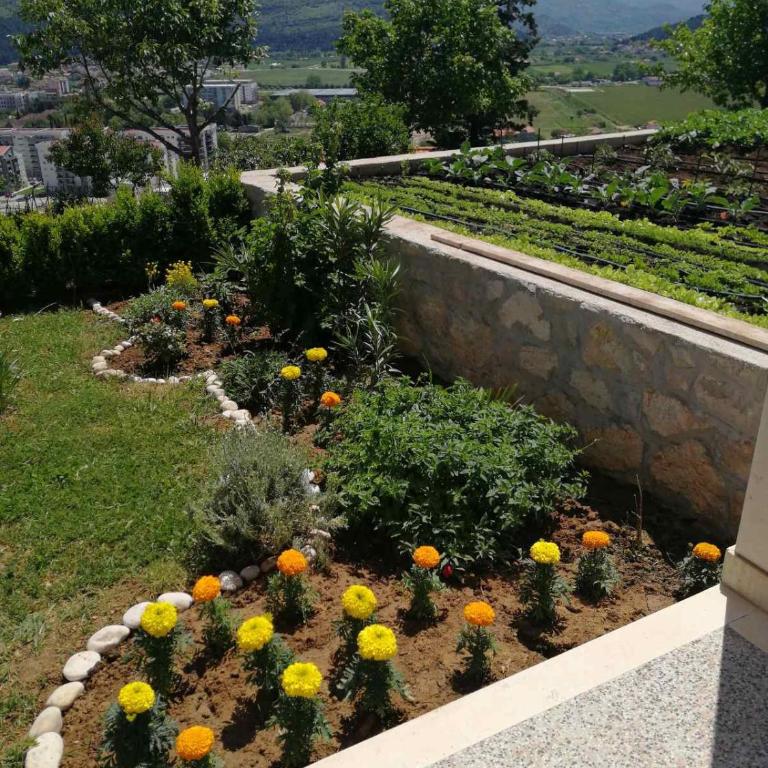 Sun garden apartment - Premium Apartman sa 1 Spavaćom Sobom - 49