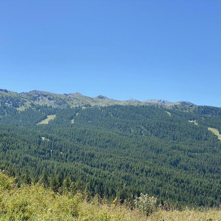 Clotes modern apartment, 50m from slopes - sleeps 6-8, 2 bath - SauzeHoliday - Appartamento con 2 Camere da Letto - 37
