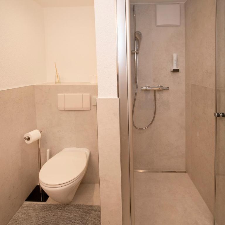 Fürstenhäusl Alpbach - GREEN Apartments & Studio - Apartment mit 1 Schlafzimmer - 6