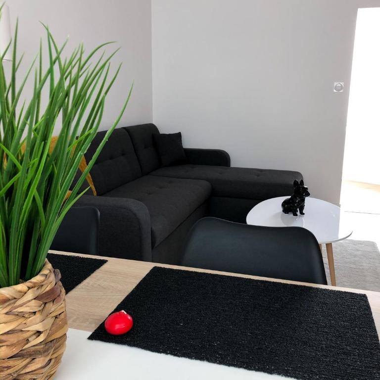 Grand appartement fonctionnel proche centre-ville - Appartement 2 Chambres - 11