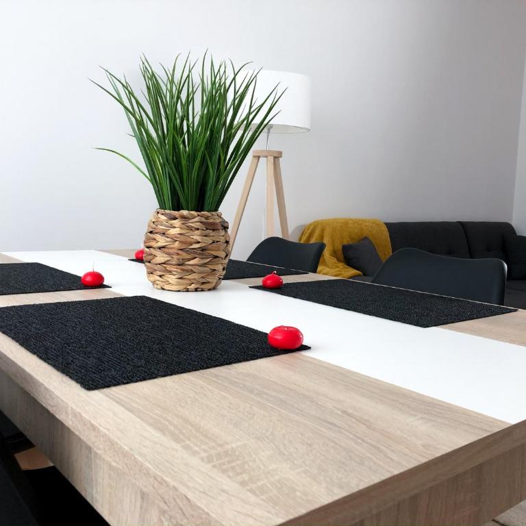Grand appartement fonctionnel proche centre-ville - Appartement 2 Chambres - 2