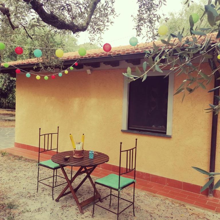 Casina Versilia - Studio-Apartment - 8