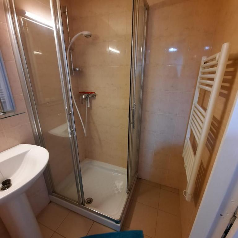 Altissim Grizzly - Estudio (4 adultos) - 3