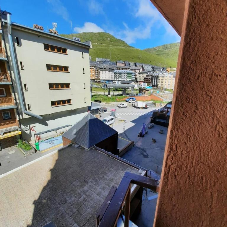 Altissim Grizzly - Estudio (4 adultos) - 4
