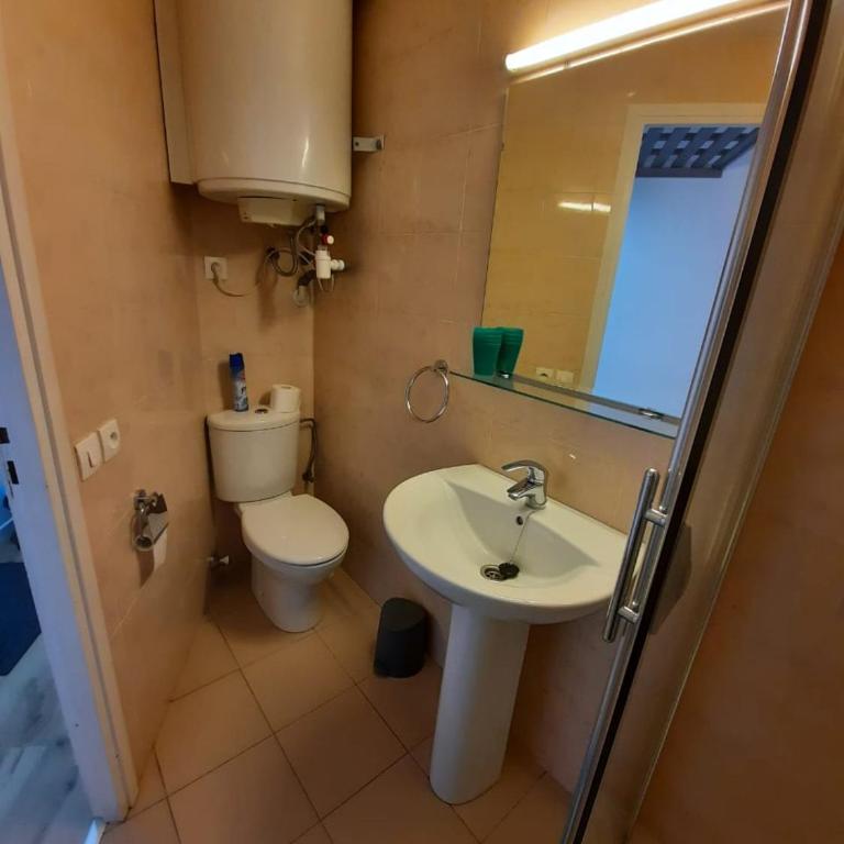 Altissim Grizzly - Estudio (4 adultos) - 5