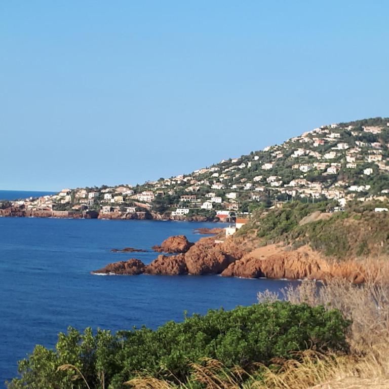 Fréjus plage T2, piscine, parking, plages à 200m - Appartement 1 Chambre - 17