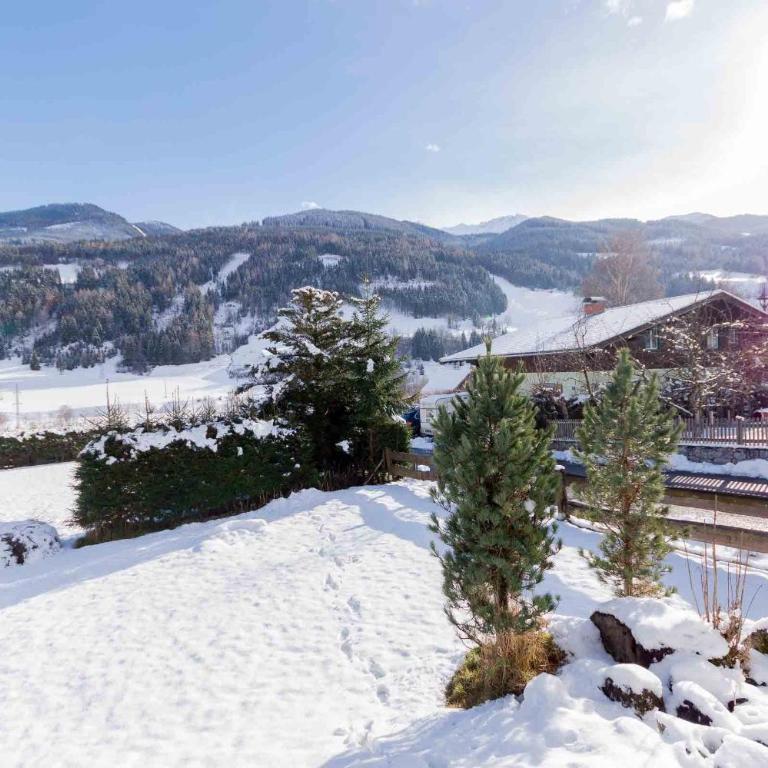 Chalet Drei Brüder - Chalet mit Balkon und Terrasse - 16