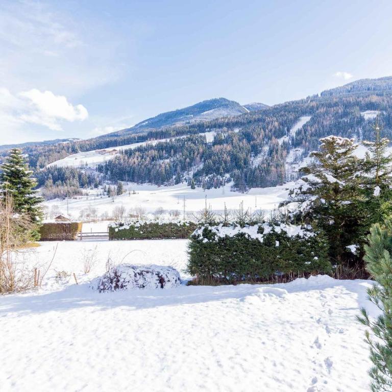 Chalet Drei Brüder - Chalet mit Balkon und Terrasse - 17