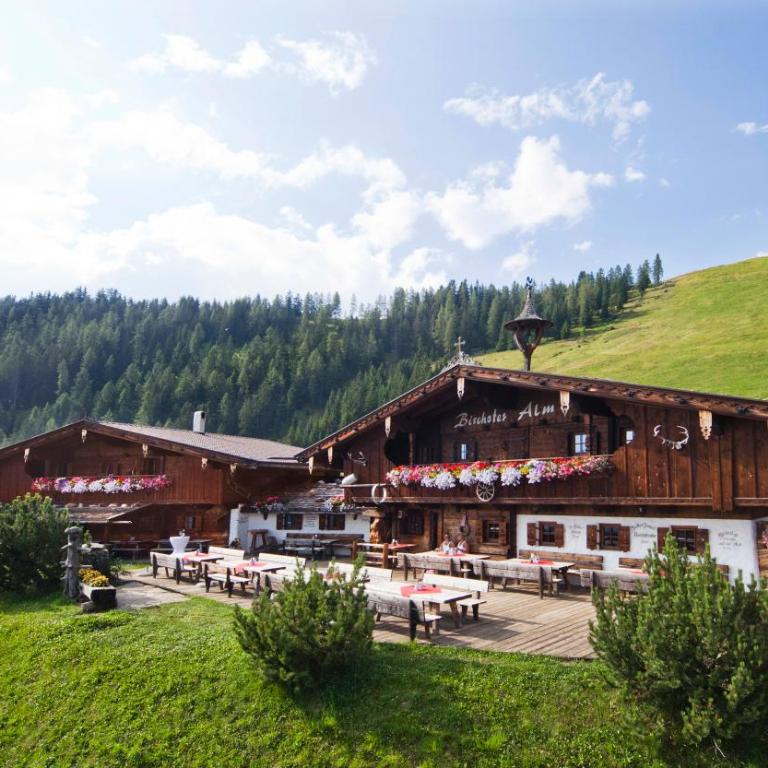 Chalet Bischofer- Bergwelt - Chalet mit Balkon und Terrasse (20 Erwachsene) - 57