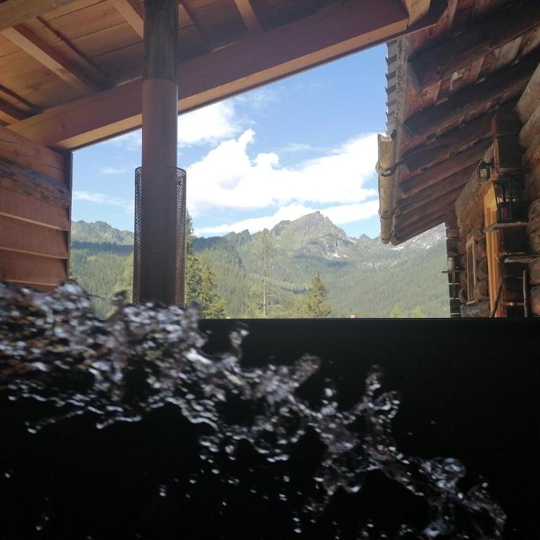 Ampferkaralm Hütte - Chalet 3 Chambres - 15