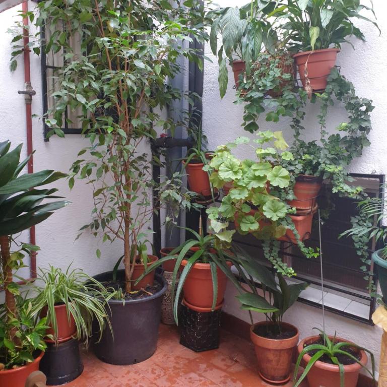 CENTRO MADRID, Las Letras - One-Bedroom Apartment - 21