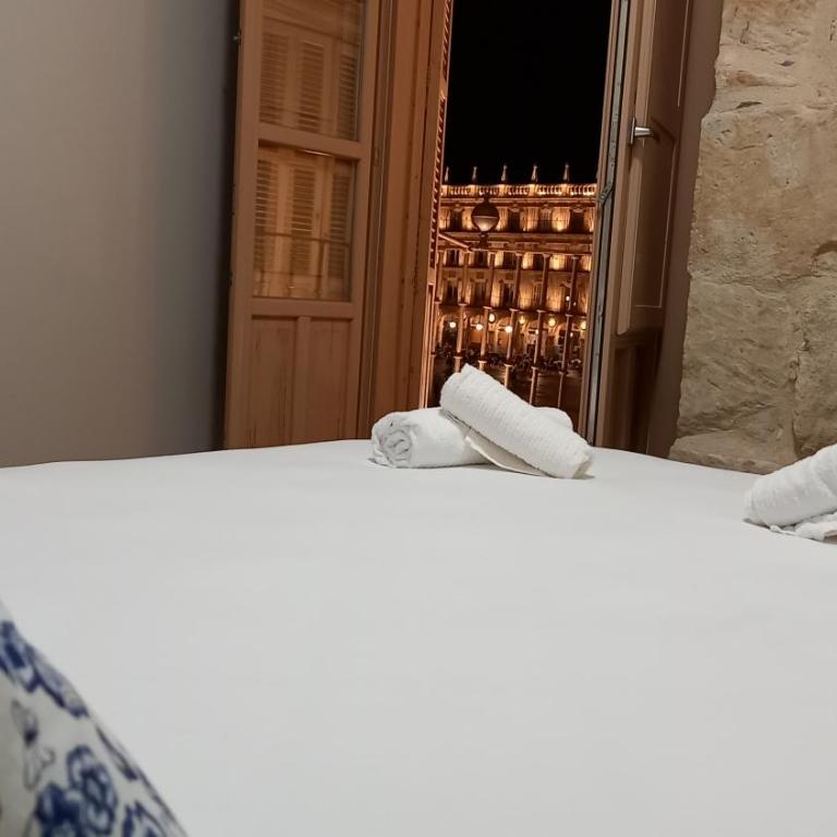 Calle Toro 2, 1º con balcones a la misma Plaza Mayor!! - Apartamento Deluxe - 9