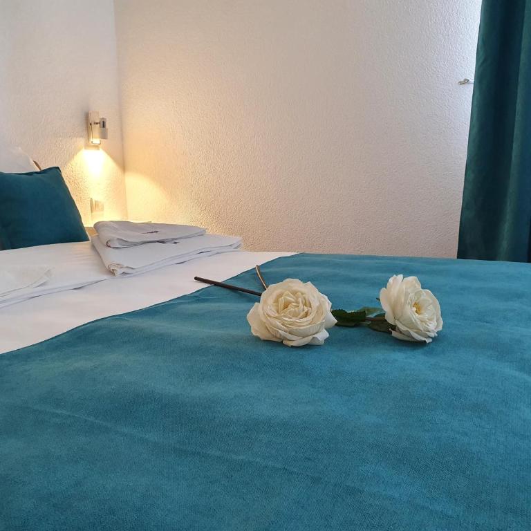 Astorya Boutique Hotel & Spa - Dvokrevetna Soba sa Bračnim Krevetom - 24