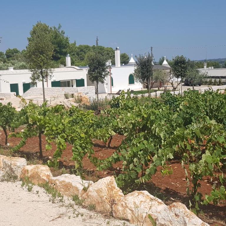 Trulli Martina - Villa con Piscina Privata - 40