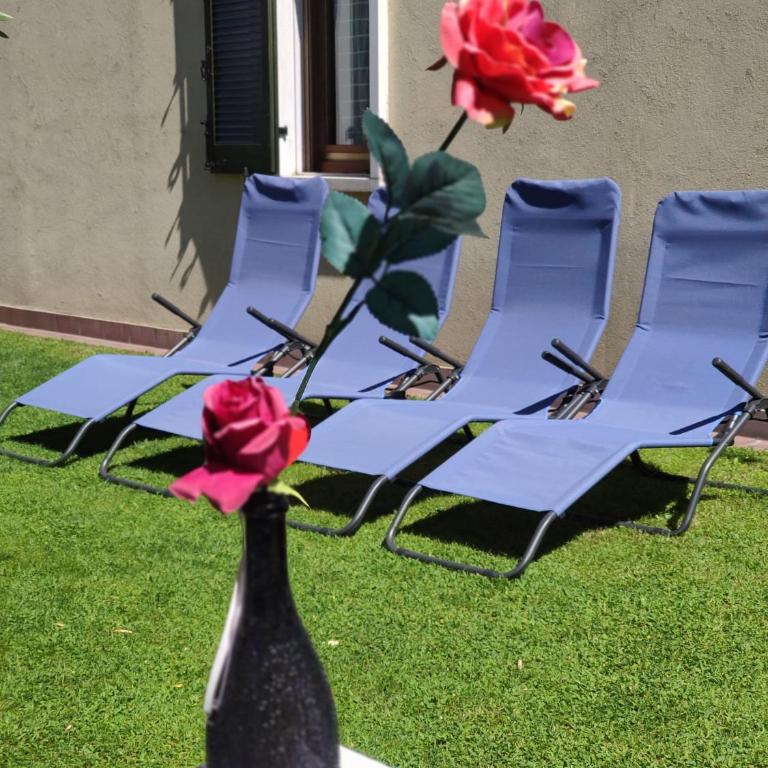 Private Garden Giardino Privato a Bardolino - House Amorino - Two-Bedroom Apartment with Private Garden - 22