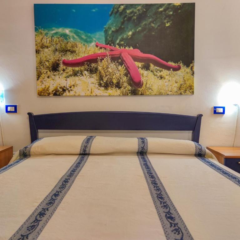 Domu Cannuja - Casa con 2 Camere da Letto - 31