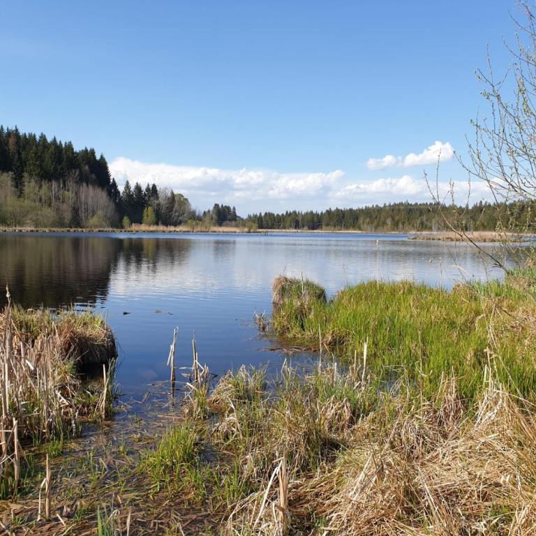 Ferienwohnung Rupp Bergblick & private Sauna - Apartment mit Blick auf die Berge - 19
