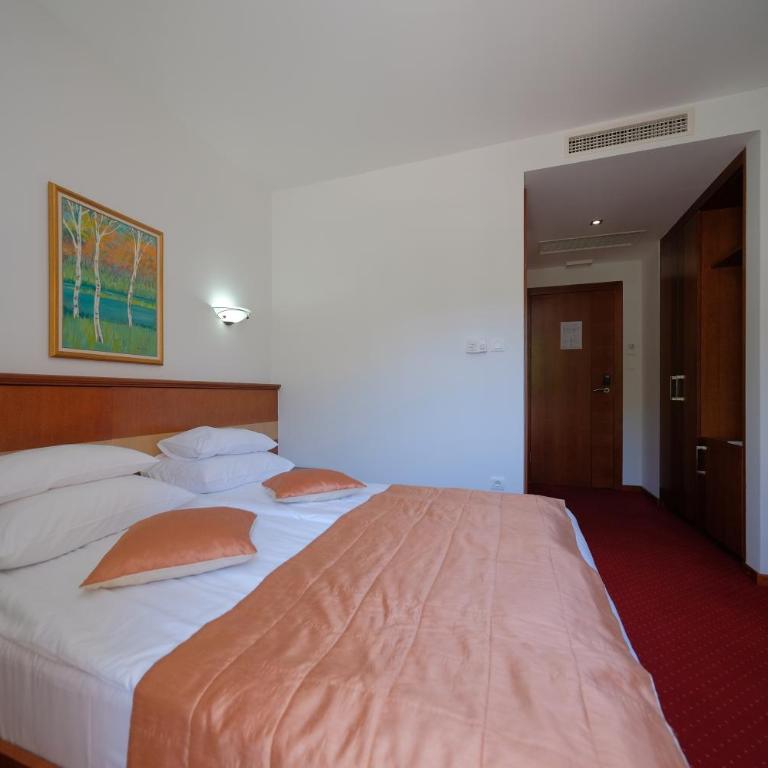 Motel Mujanic Sarajevo - Deluks Dvokrevetna Soba s Bračnim Krevetom (2 odrasle osobe + 1 dete) - 12