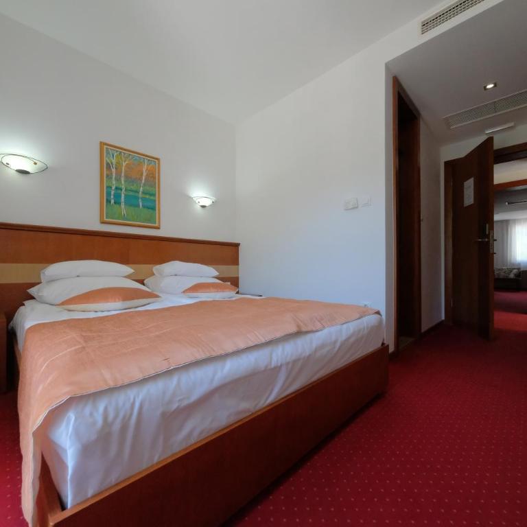 Motel Mujanic Sarajevo - Deluks Dvokrevetna Soba s Bračnim Krevetom (2 odrasle osobe + 1 dete) - 15