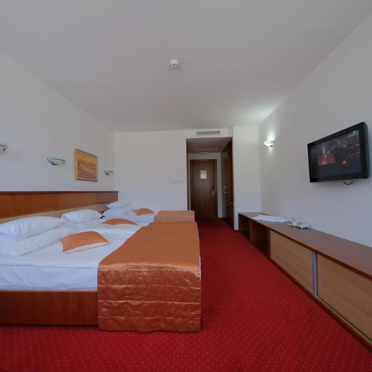 Motel Mujanic Sarajevo - Deluks Dvokrevetna Soba sa Bračnim Krevetom/Zasebnim Krevetima i Balkonom - 11