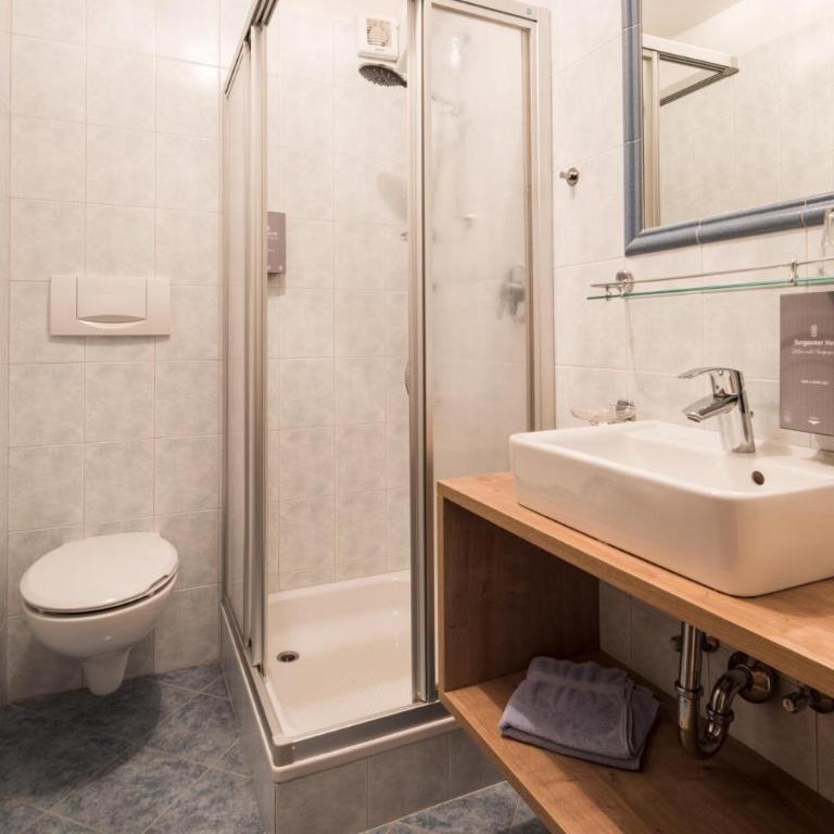 Hotel Burgaunerhof - Habitación Individual Estándar - 1